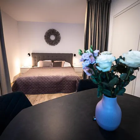 Luxury Angel With Terrace Apartment